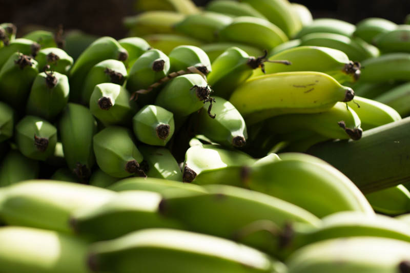 bananas!