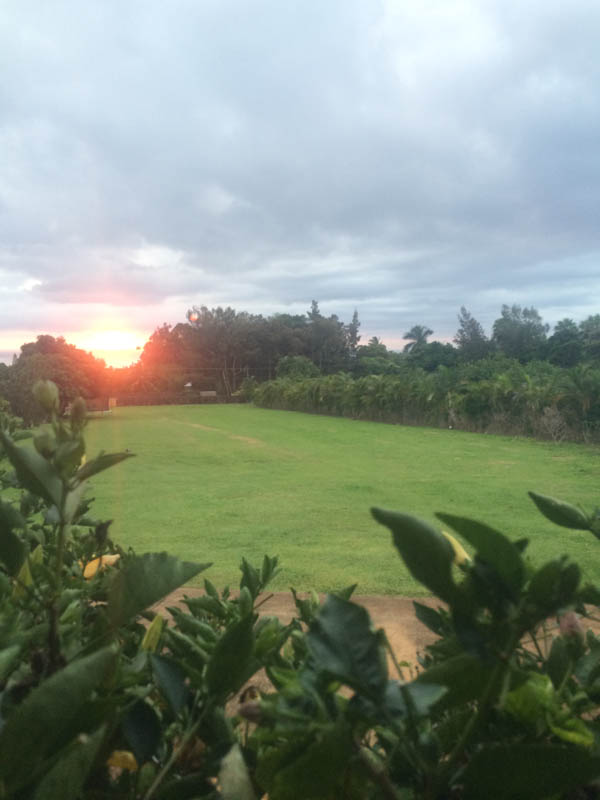 sunset and parenting talk at thegrommom.com