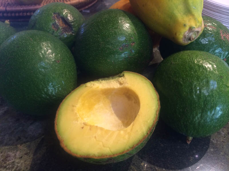 avocado