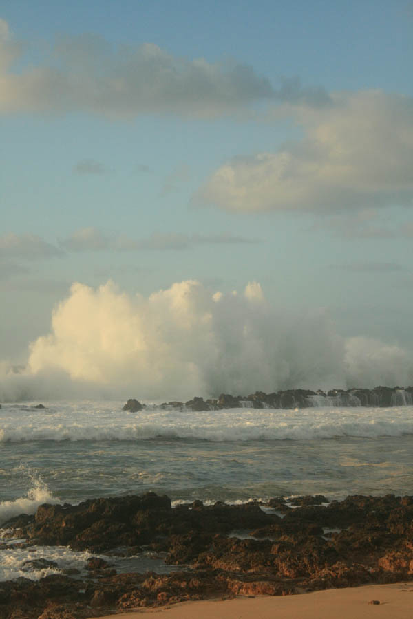 Sharks Cove big waves January 2014