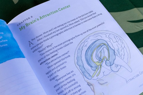 The brain and porn