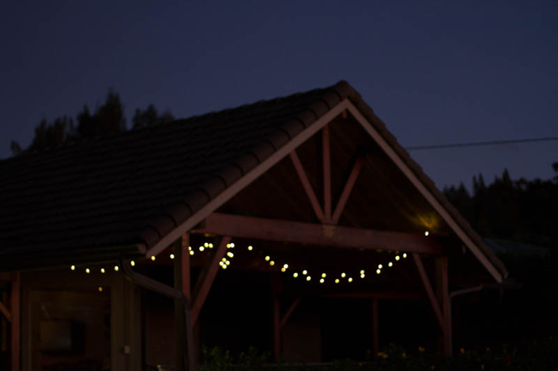 swanson home/lights